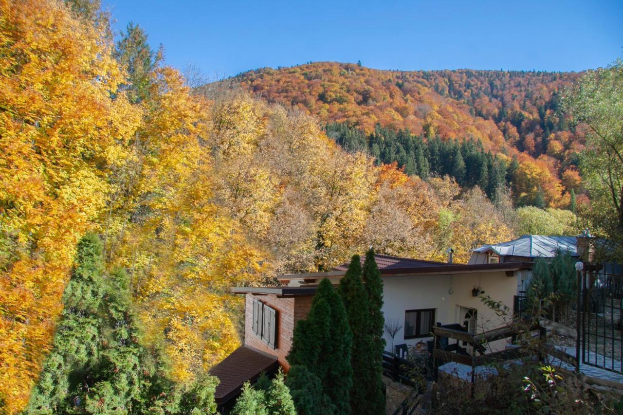 Casa Flandria Hotel Синая Екстериор снимка
