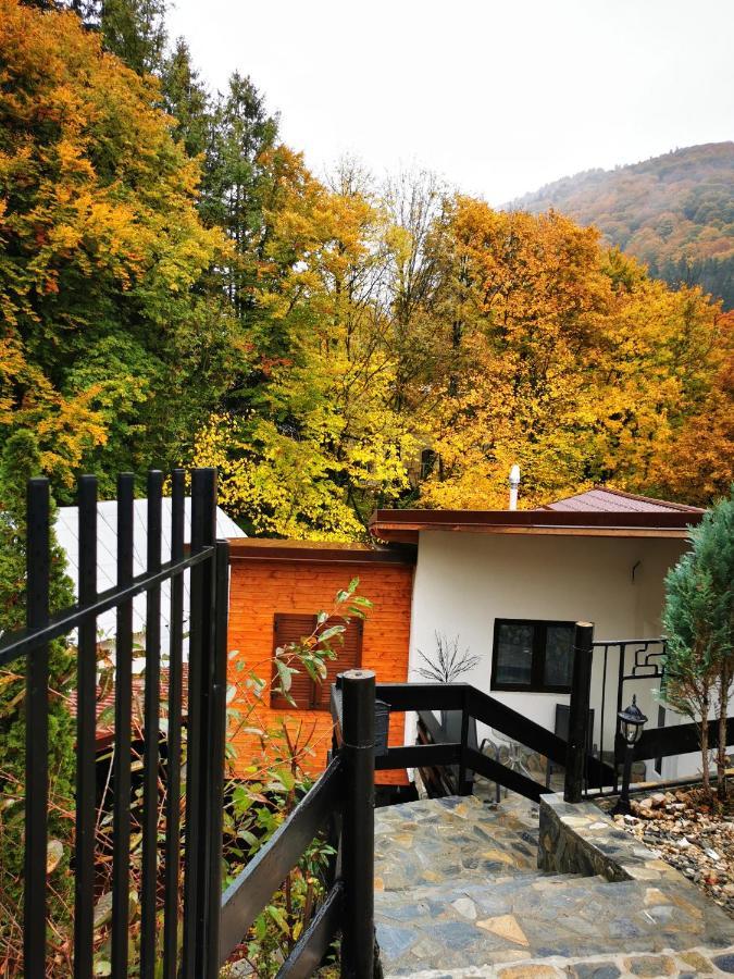 Casa Flandria Hotel Синая Екстериор снимка