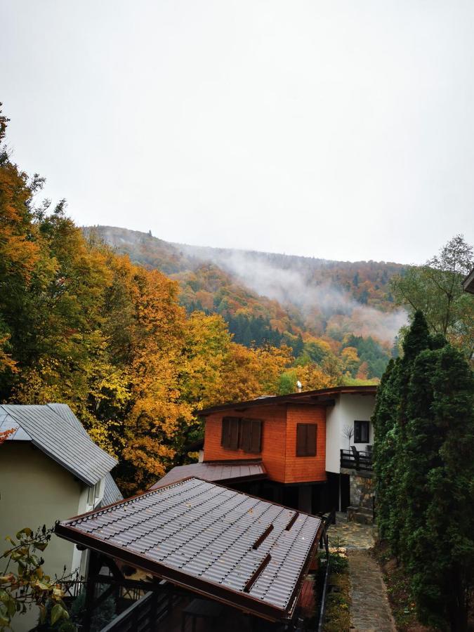 Casa Flandria Hotel Синая Екстериор снимка