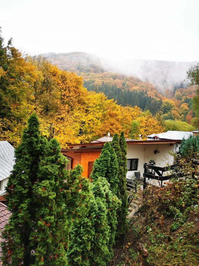 Casa Flandria Hotel Синая Екстериор снимка