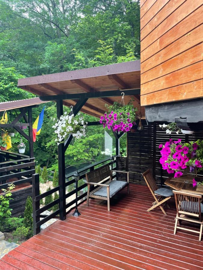 Casa Flandria Hotel Синая Екстериор снимка