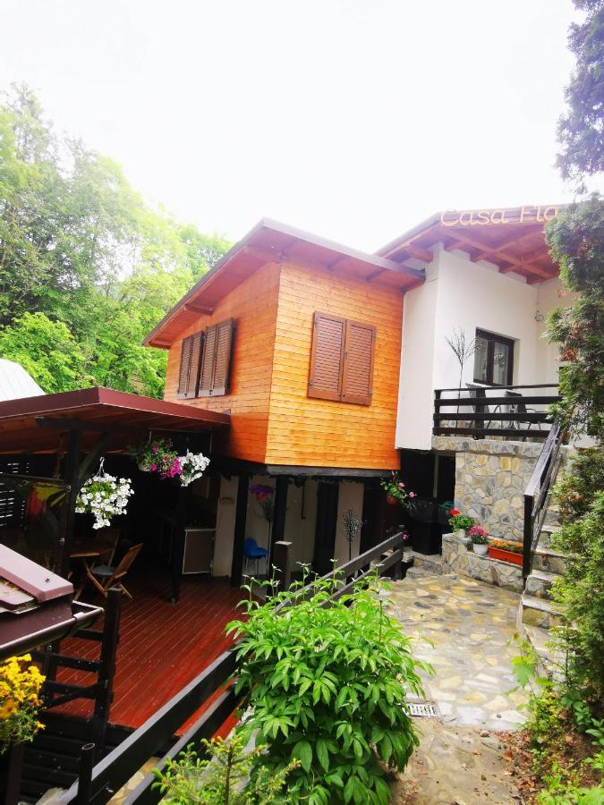 Casa Flandria Hotel Синая Екстериор снимка