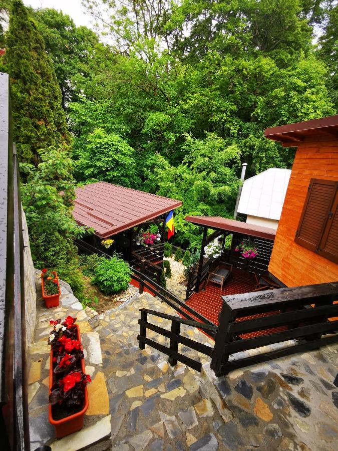 Casa Flandria Hotel Синая Екстериор снимка